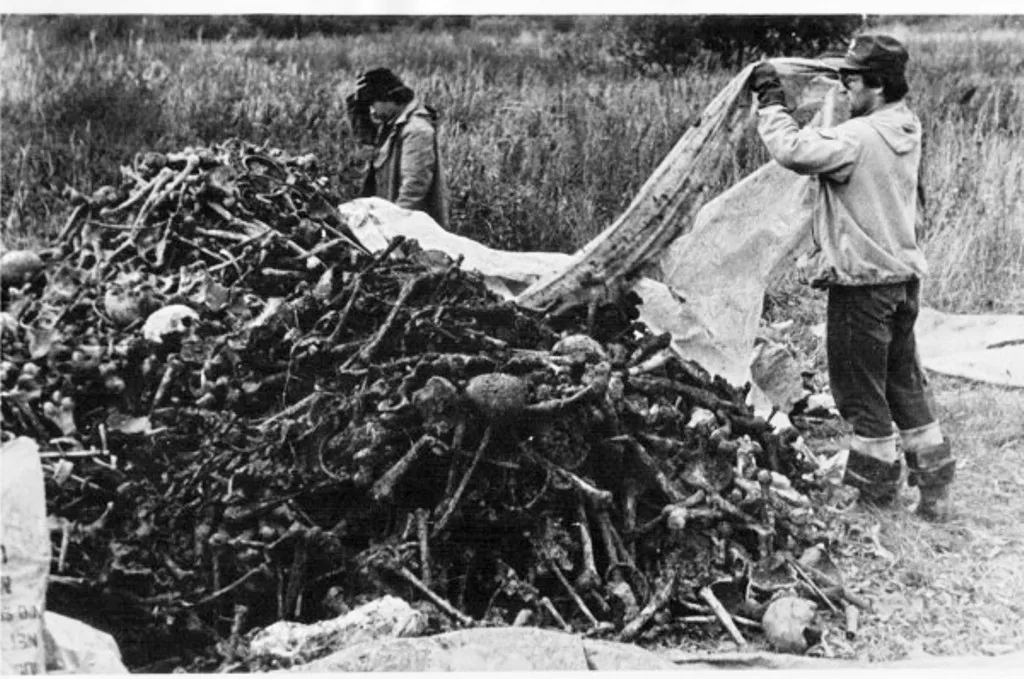 Раскопки в Архангельске, расстрельные ямы 1989 год Раскопки в Архангельске, расстрельные ямы 1989 год